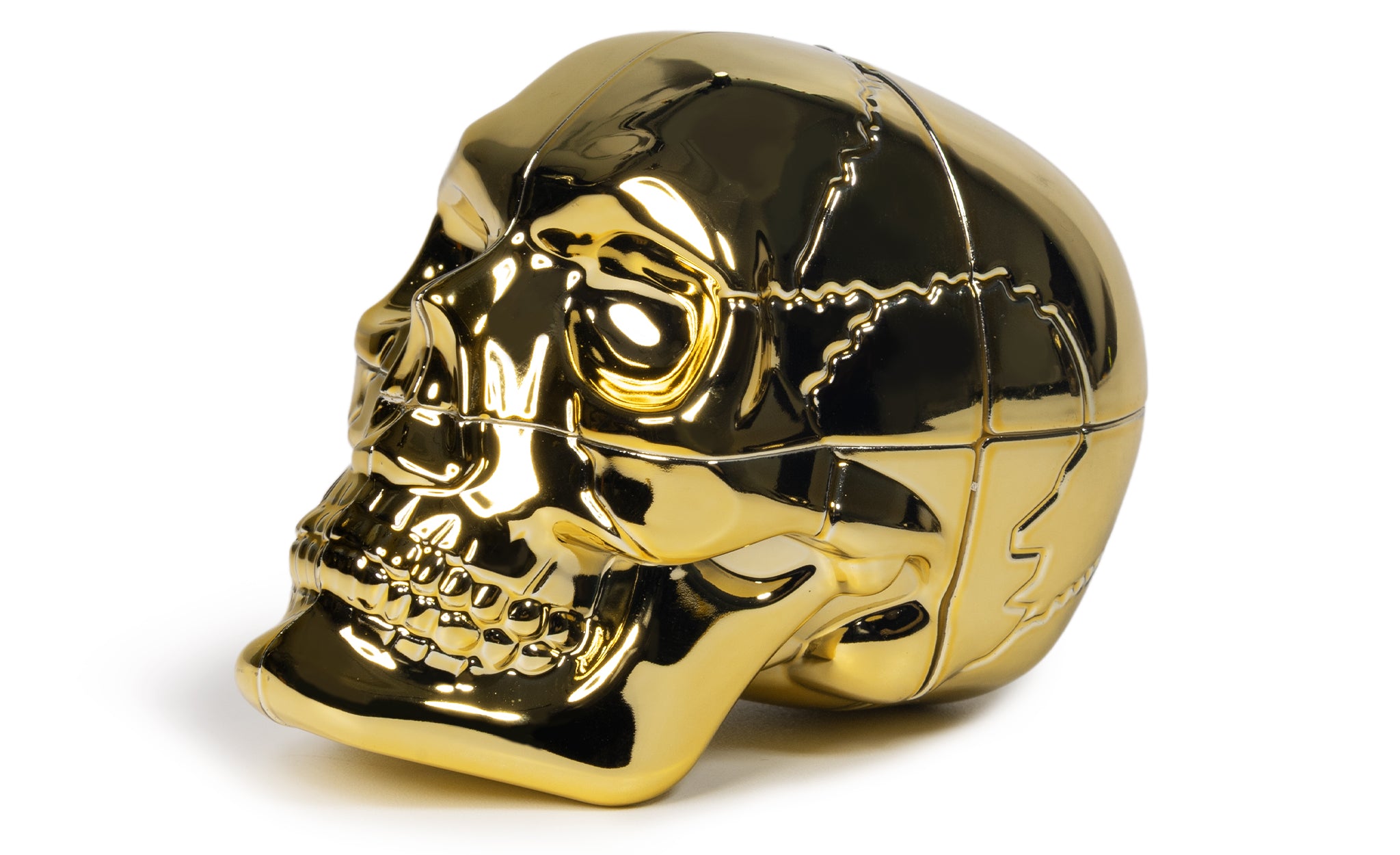 Calvin's King Skeletor 2x2 Skull – Magnetic Speed Cube | SpeedCubeShop
