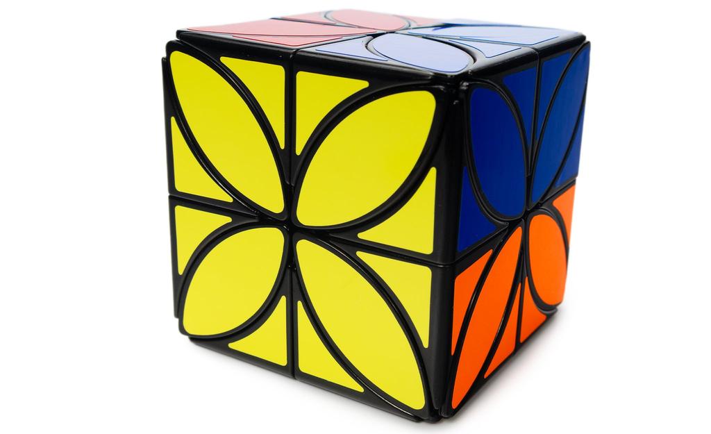 4-Leaf-Clover Plus - 6-Color