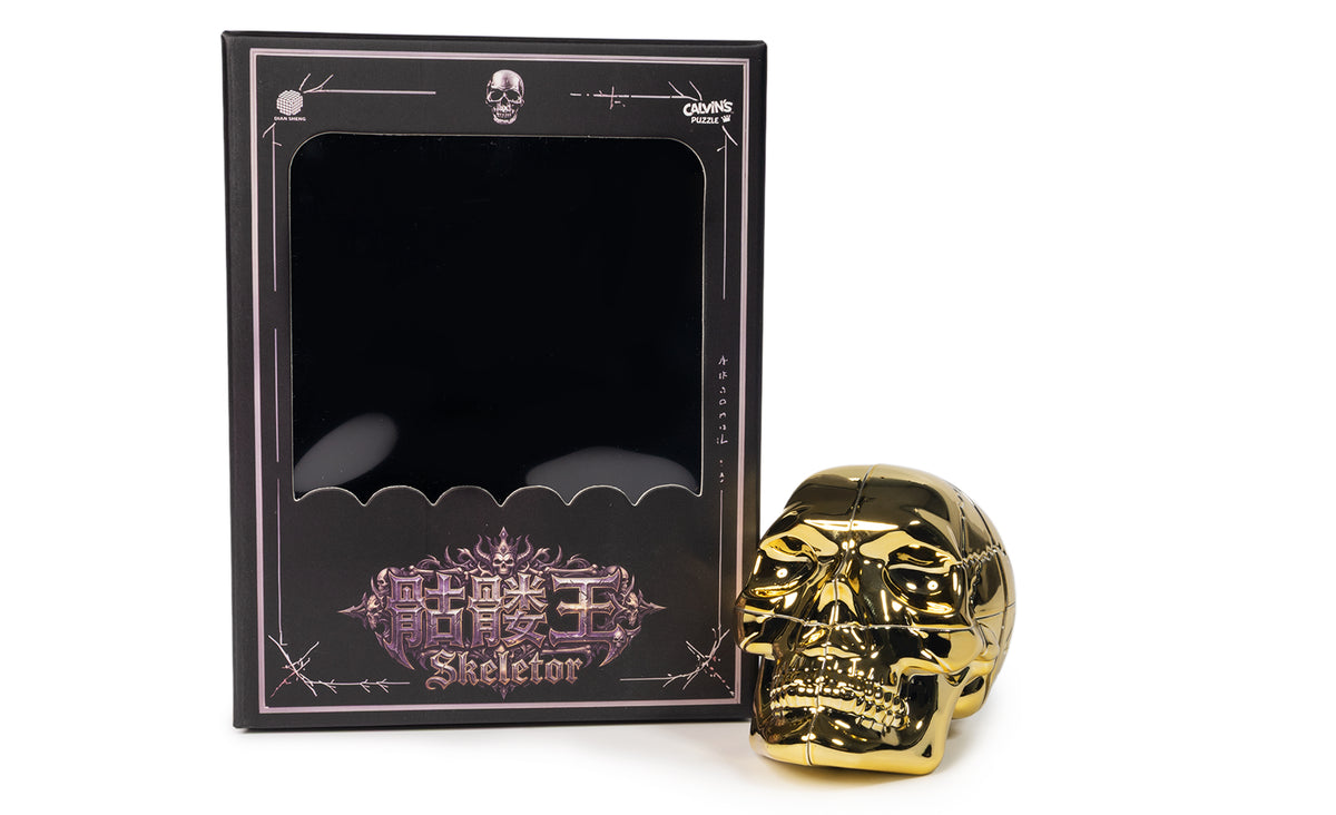 Calvins-Puzzle-Diansheng-King-Skeletor6534.jpg