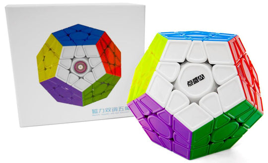 DianSheng Big Megaminx (Magnetic) | SpeedCubeShop