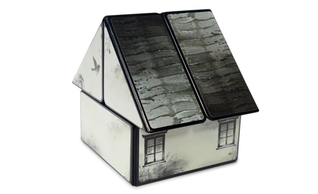 DianSheng House 2x2
