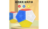 ShengShou Teraminx | SpeedCubeShop