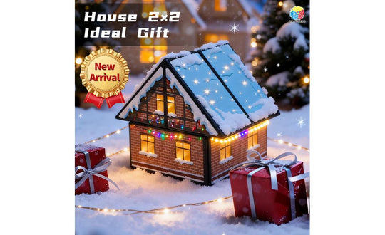 DianSheng House 2x2 - Christmas Edition