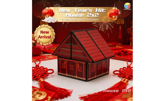 DianSheng House 2x2 - Christmas Edition