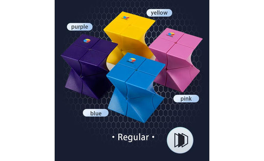DianSheng Twisted 2x2 | SpeedCubeShop