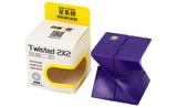 DianSheng Twisted 2x2 | SpeedCubeShop