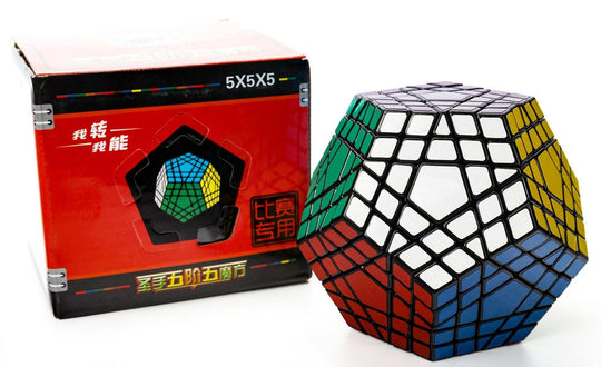 ShengShou Gigaminx V1 | SpeedCubeShop