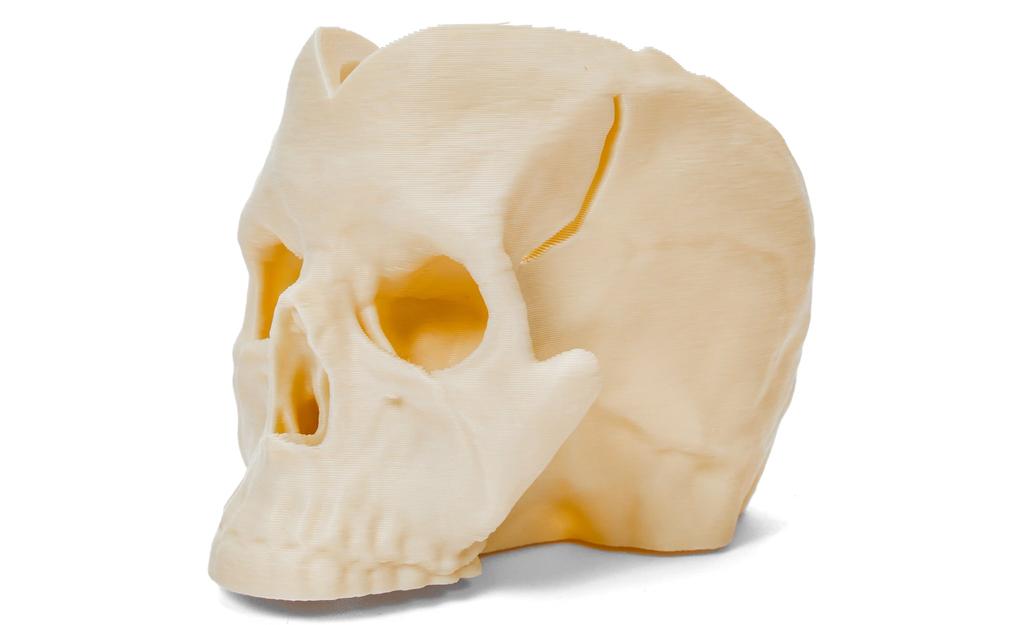 Skull Rubik's Cube Display Stand | SpeedCubeShop