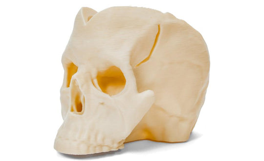 Skull Rubik's Cube Display Stand | SpeedCubeShop