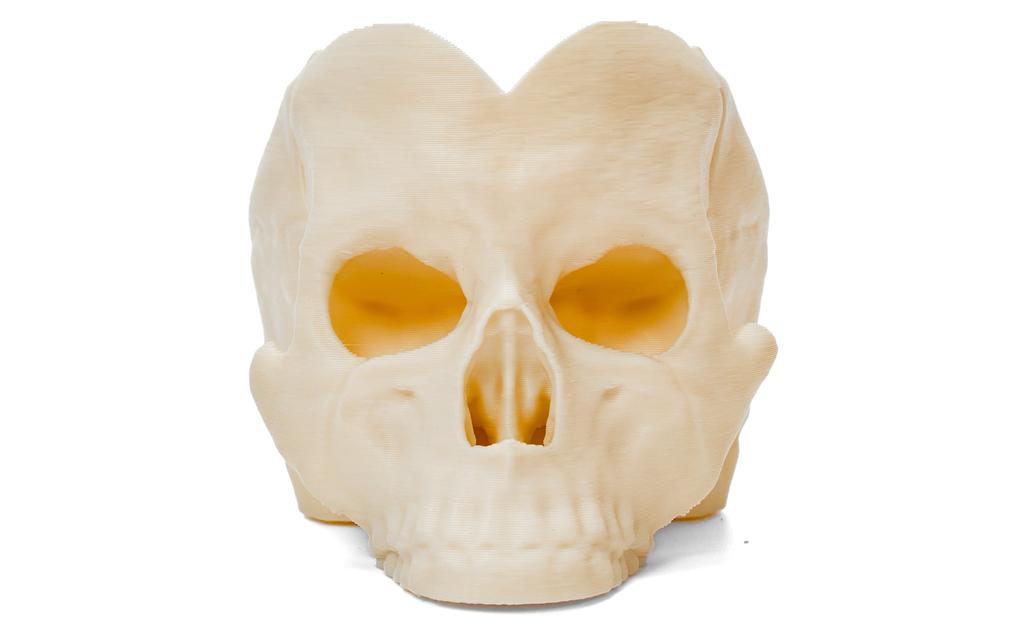 Skull Rubik's Cube Display Stand | SpeedCubeShop